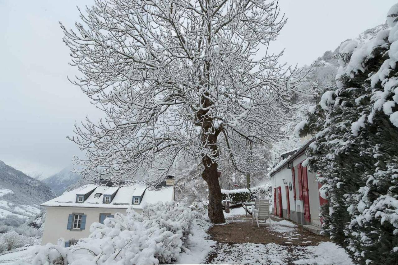 Comfortable Farm House Petit Barzun, In The Parc National Pyrenees Bareges Exterior photo